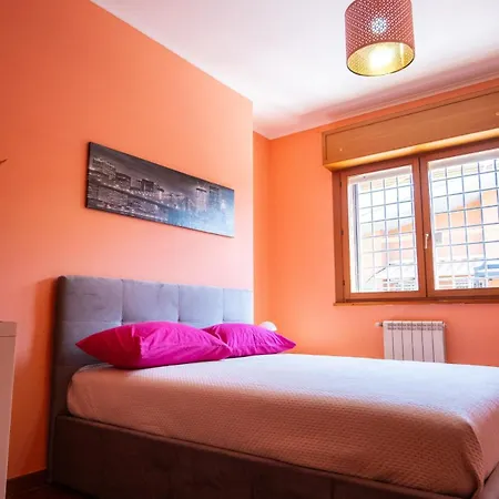 Ltpanella Jacqueline *