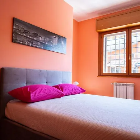 Ltpanella Jacqueline