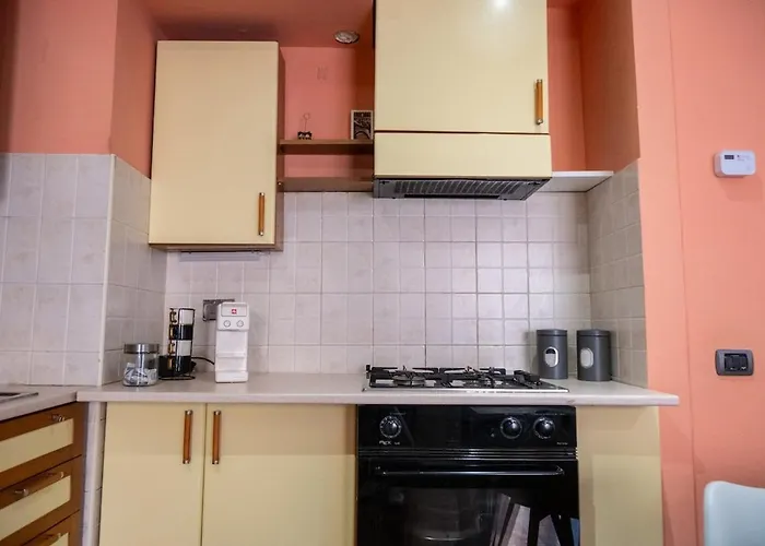 Ltpanella Jacqueline * Roma