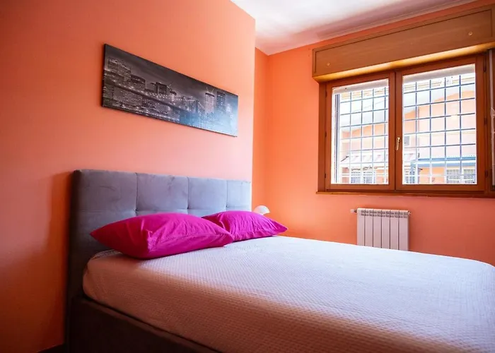 Ltpanella Jacqueline