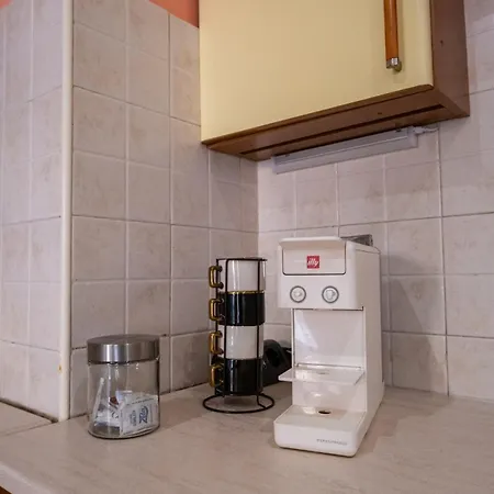 Ltpanella Jacqueline