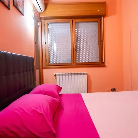 Ltpanella Jacqueline